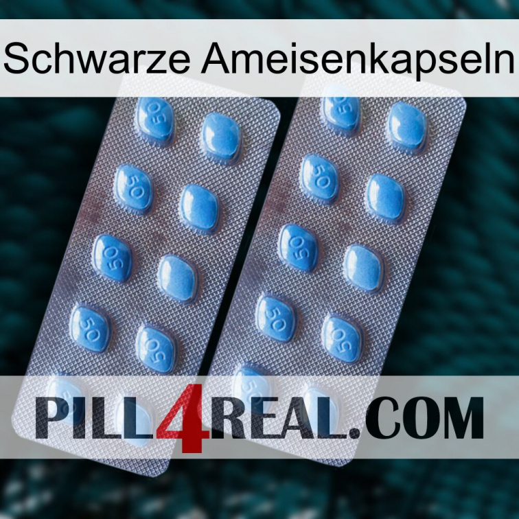 Black Ant Capsules viagra4